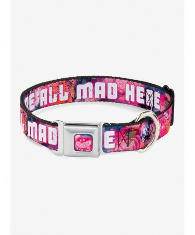 Crazy Deals Disney Alice In Wonderland Were All Mad Here Seatbelt Buckle Dog Collar $9.21 Pet Collars