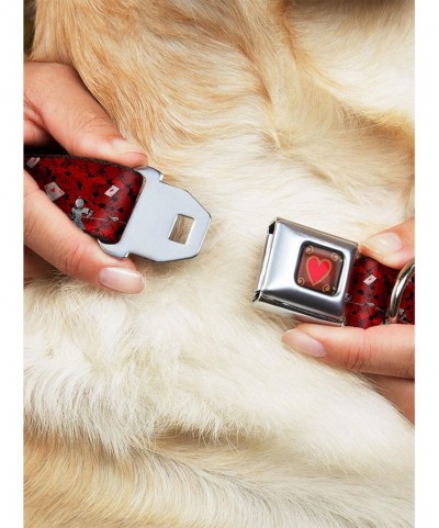 Fashion Disney Alice In Wonderland Queen Of Hearts Poses Seatbelt Buckle Dog Collar $11.70 Pet Collars